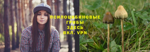 а пвп мука Алексин