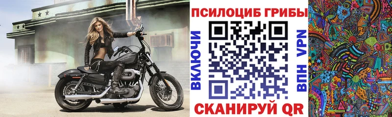 Псилоцибиновые грибы ЛСД  купить наркотики сайты  маркетплейс официальный сайт  Ковылкино 